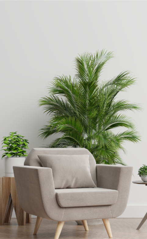 foto sillón con planta de fondo